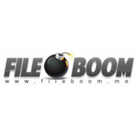 Fileboom 365 Days Premium Pro