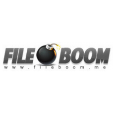Fileboom 365 Days Premium Pro